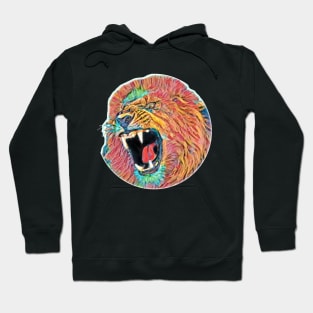 Lion's head colorfully Hoodie